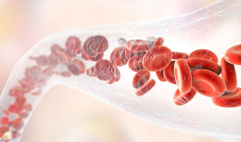 Traitement des infections de la neutropénie