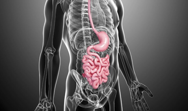 Traitement des infections gastro-intestinales