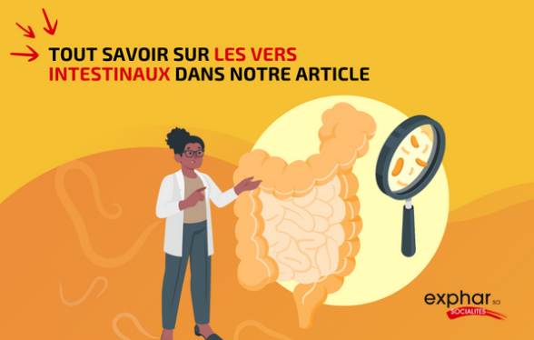 Vers intestinaux : symptômes et traitement